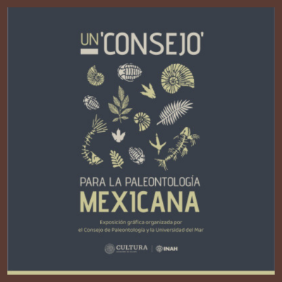 Un Consejo para la paleontología mexicana