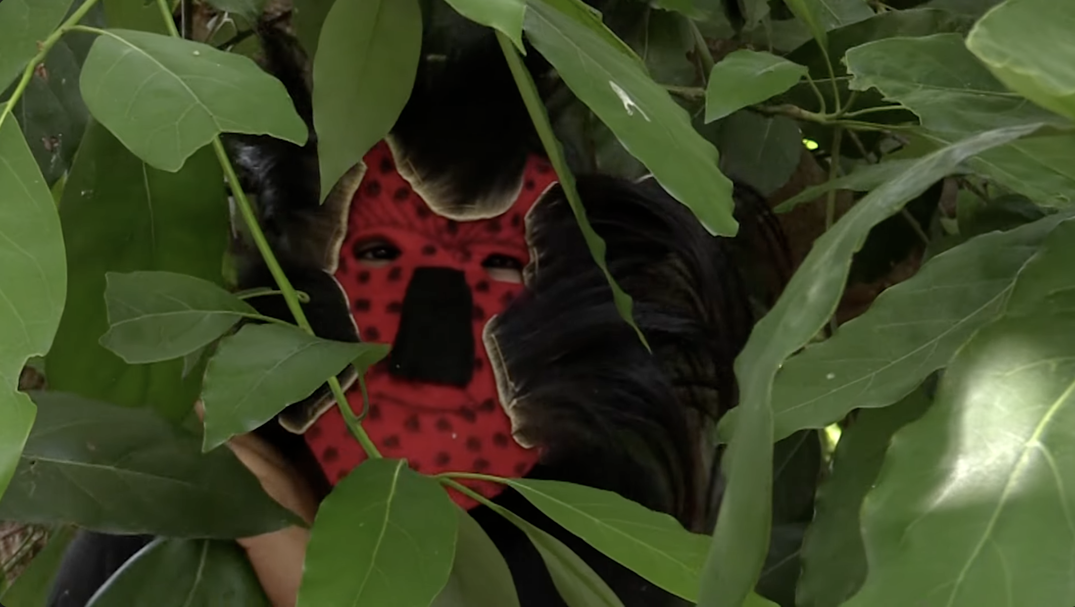 Nahual. Proyecto INAH Móvil