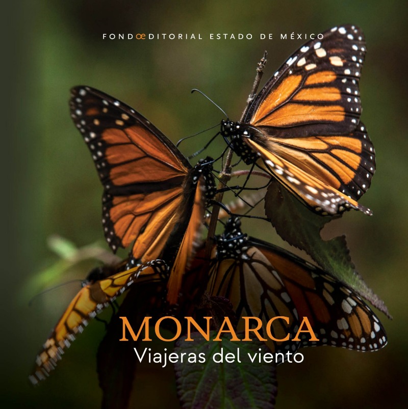 Monarca. Viajeras del viento