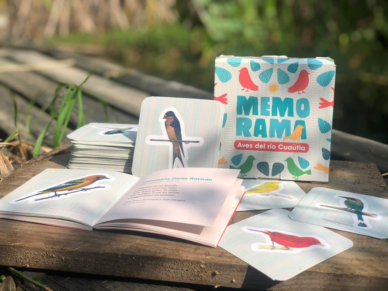 Las aves, compañeros invisibles de nuestro día a día