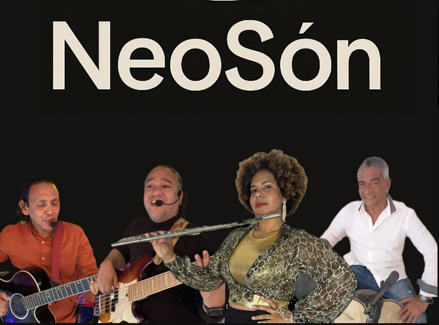 Grupo NeoSon