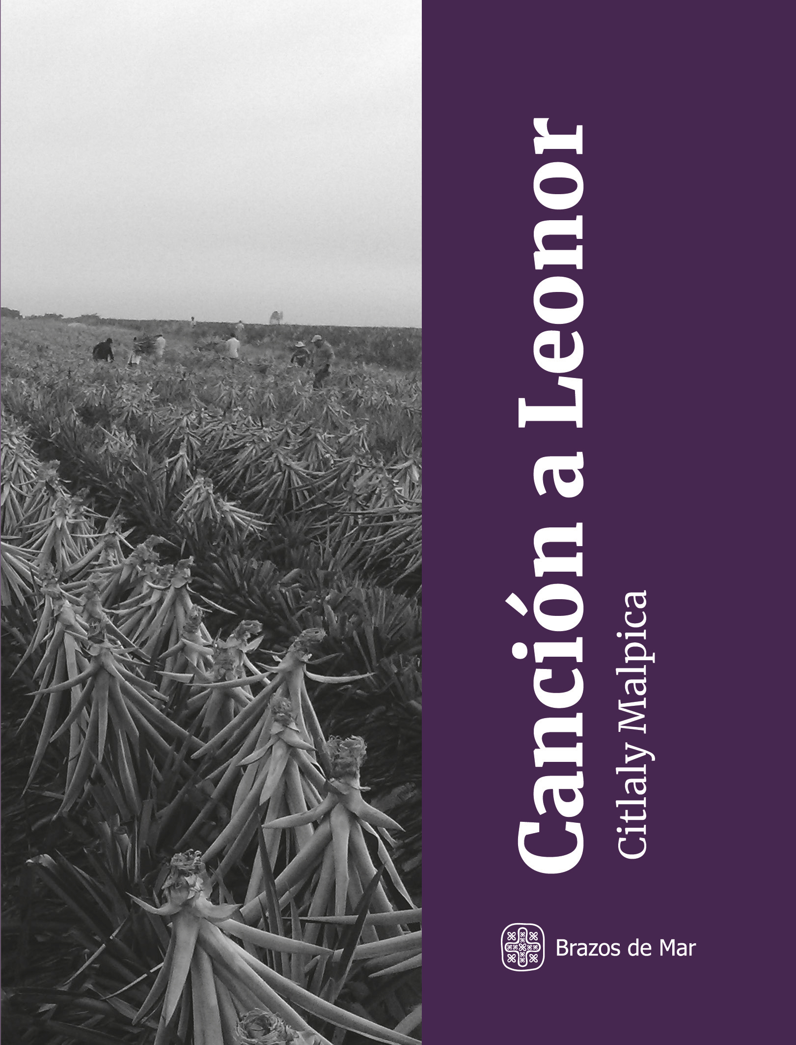 Canción a Leonor
