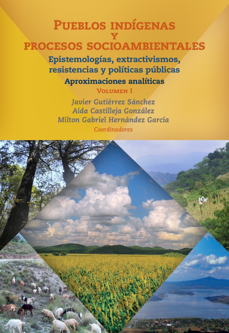 Pueblos indígenas y procesos socioambientales, volumen I. Epistemologías, extractivismos y resistencias. Aproximaciones analíticas