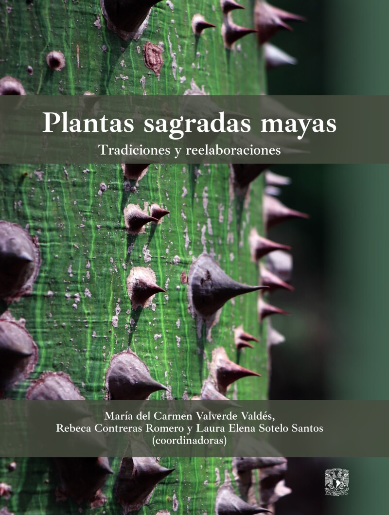 Plantas sagradas mayas: tradiciones y reelaboraciones