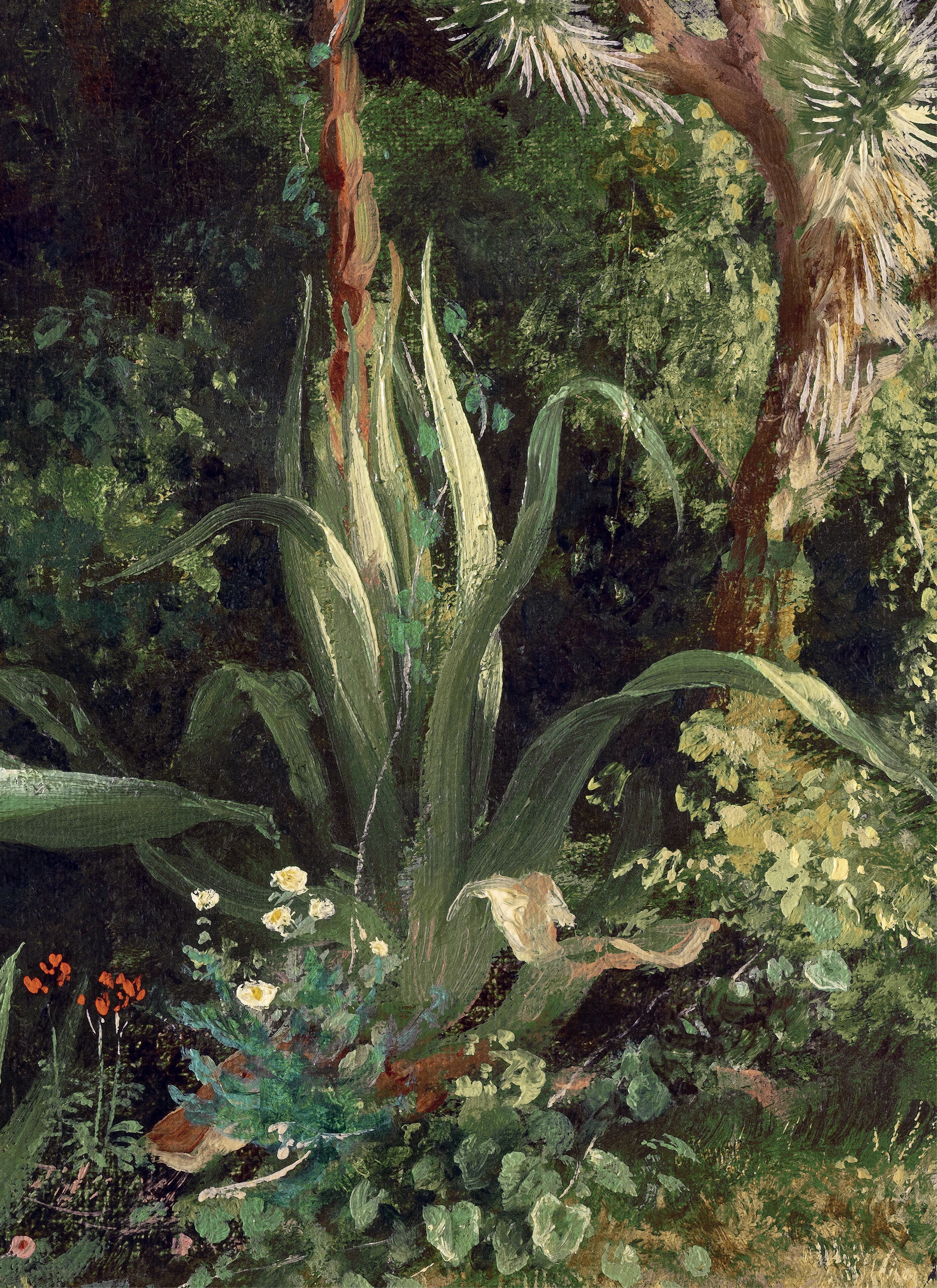 El jardín de Velasco